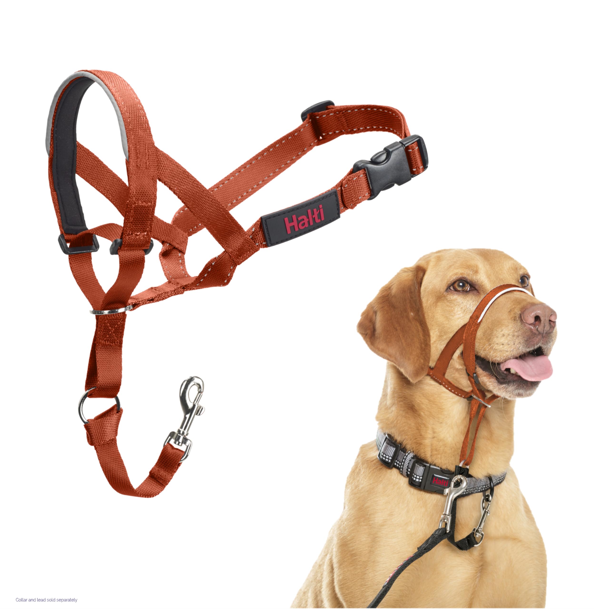 HALTI Headcollar - To Stop Your Dog Pulling on the Leash. Adjustable, Reflective and Lightweight, with Padded Nose Band. Dog Training Anti-Pull Collar for Large Dogs (Size 5, Black)