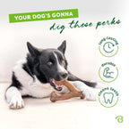 Benebone Wishbone for Dogs Medium Chicken Flavour - Bone Toy for Strong Chewing