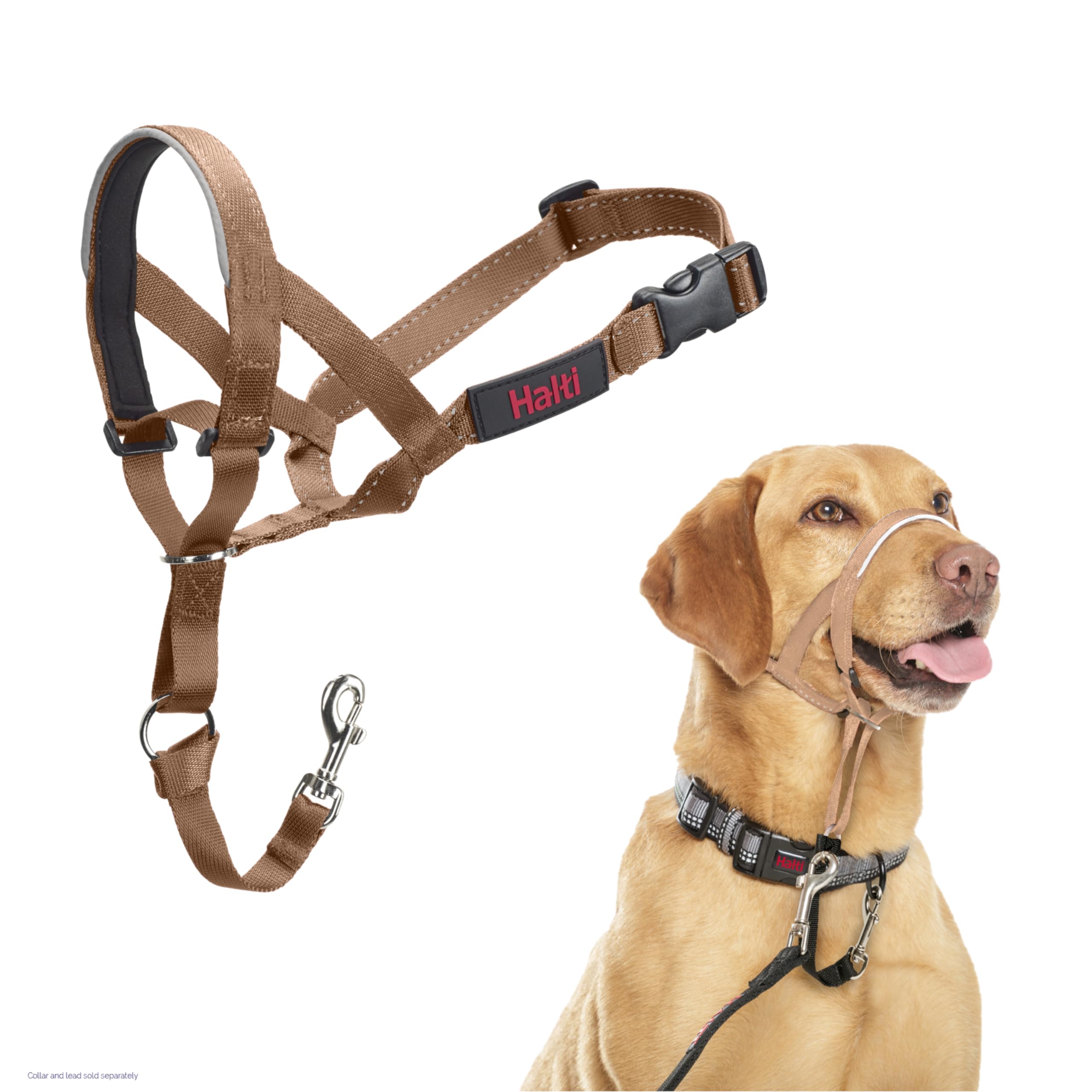 HALTI Headcollar - To Stop Your Dog Pulling on the Leash. Adjustable, Reflective and Lightweight, with Padded Nose Band. Dog Training Anti-Pull Collar for Large Dogs (Size 5, Black)
