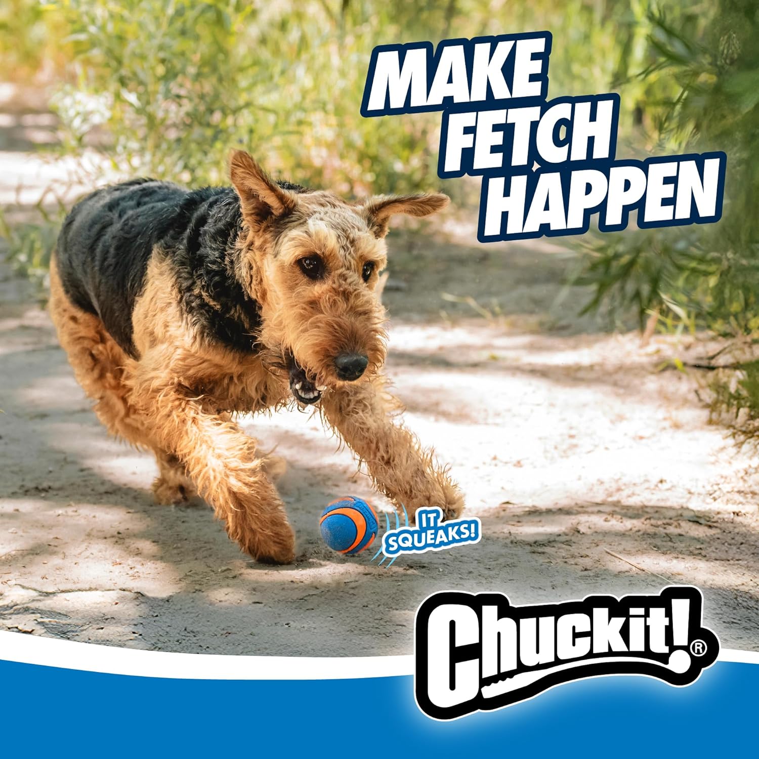 ChuckIt! Ultra Squeaker Ball Dog Toy, Durable High Bounce Floating Rubber Squeaky Dog Ball, Launcher Compatible Toy For Dogs, 2 Pack, Medium