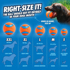 ChuckIt! Ultra Ball Dog Toy Chuckit Bucket Durable Rubber Dog Ball and Bucket High Bounce Floating Chuck It Launcher Compatible Toy Balls For Dogs with Carrier, 8 Pack, Medium