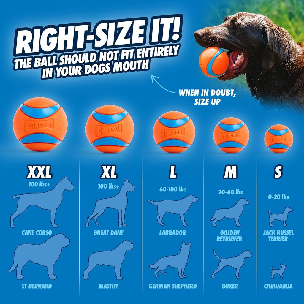 ChuckIt! Ultra Ball Dog Toy Chuckit Bucket Durable Rubber Dog Ball and Bucket High Bounce Floating Chuck It Launcher Compatible Toy Balls For Dogs with Carrier, 8 Pack, Medium