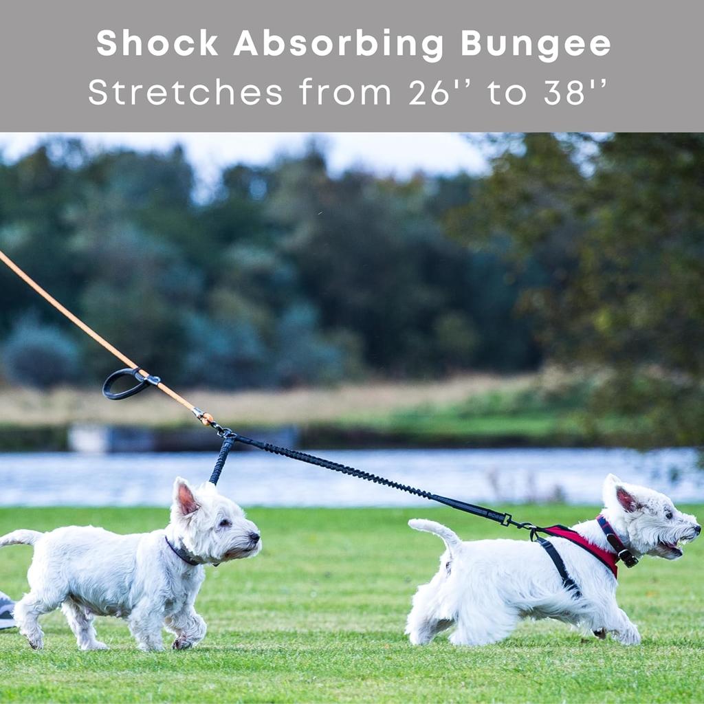 Sweetie Dog Lead Splitter – Dual Shock Absorbing Bungee Double Leash Coupler - Perfect Leads for Walking 2 Small to Medium Dogs on One Lead - No Tangle 360° Swivel Clip - Reflective Stitching