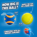 ChuckIt! Ultra Squeaker Ball Dog Toy, Durable High Bounce Floating Rubber Squeaky Dog Ball, Launcher Compatible Toy For Dogs, 2 Pack, Medium