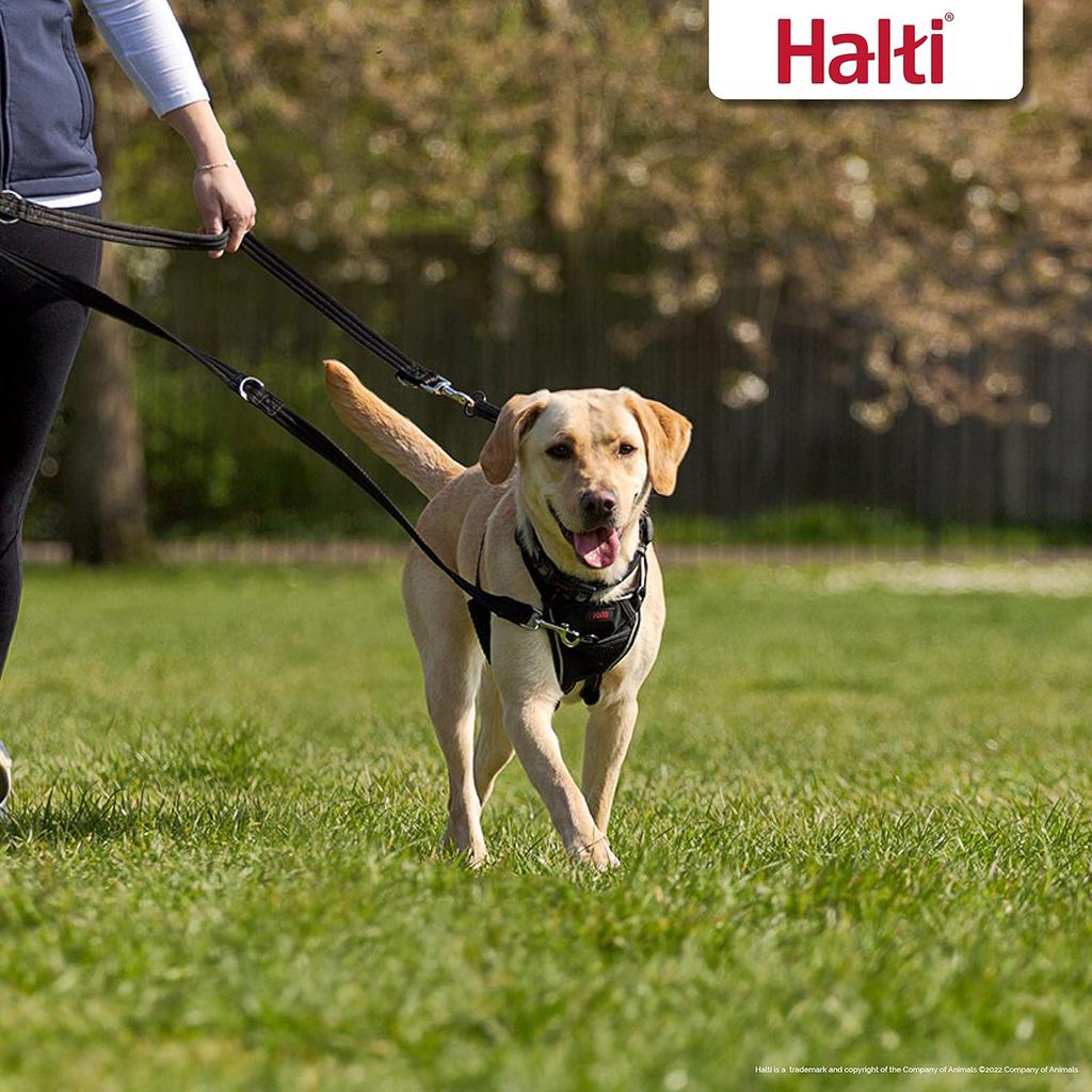 Company of Animals HALTI Training Lead Size Large Black, 2m, Professional Dog Lead to Stop Pulling on the Lead, Perfect for Puppy Walks, Easy to Use Double-Ended Dog Leash, Lightweight Soft & Durable