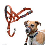 HALTI Headcollar - To Stop Your Dog Pulling on the Leash. Adjustable, Reflective and Lightweight, with Padded Nose Band. Dog Training Anti-Pull Collar for Large Dogs (Size 5, Black)