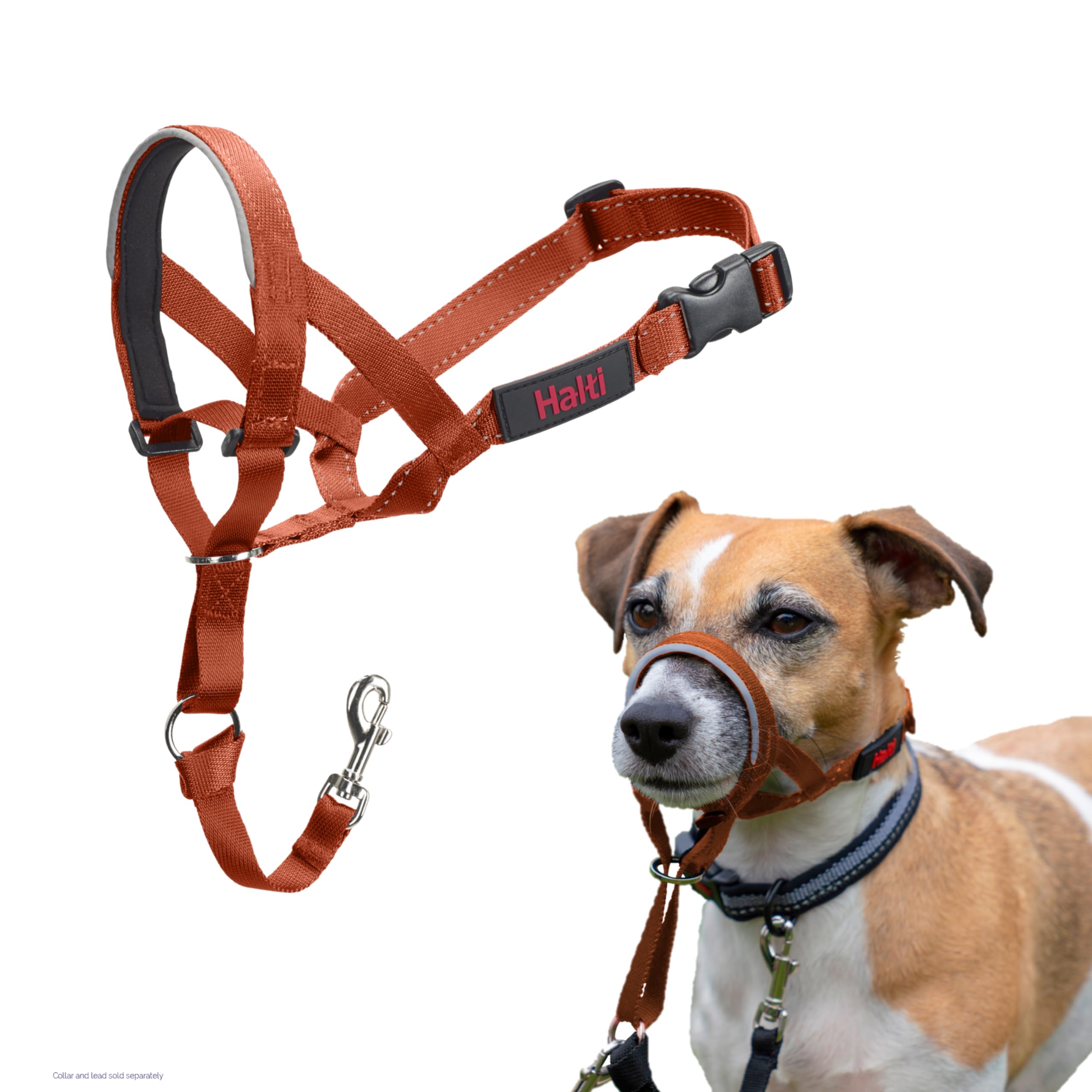 HALTI Headcollar - To Stop Your Dog Pulling on the Leash. Adjustable, Reflective and Lightweight, with Padded Nose Band. Dog Training Anti-Pull Collar for Large Dogs (Size 5, Black)
