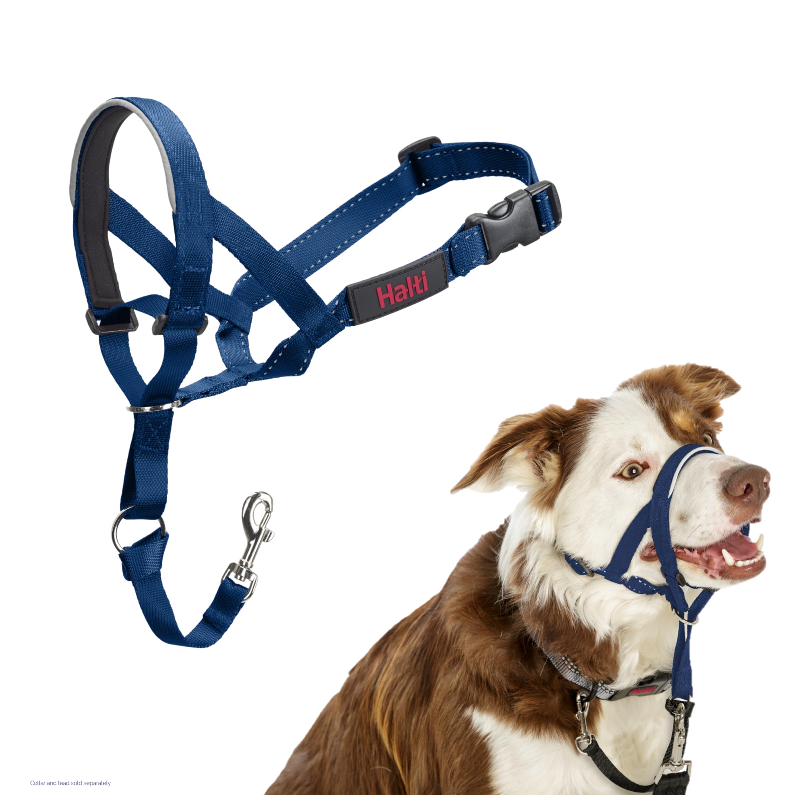 HALTI Headcollar - To Stop Your Dog Pulling on the Leash. Adjustable, Reflective and Lightweight, with Padded Nose Band. Dog Training Anti-Pull Collar for Large Dogs (Size 5, Black)