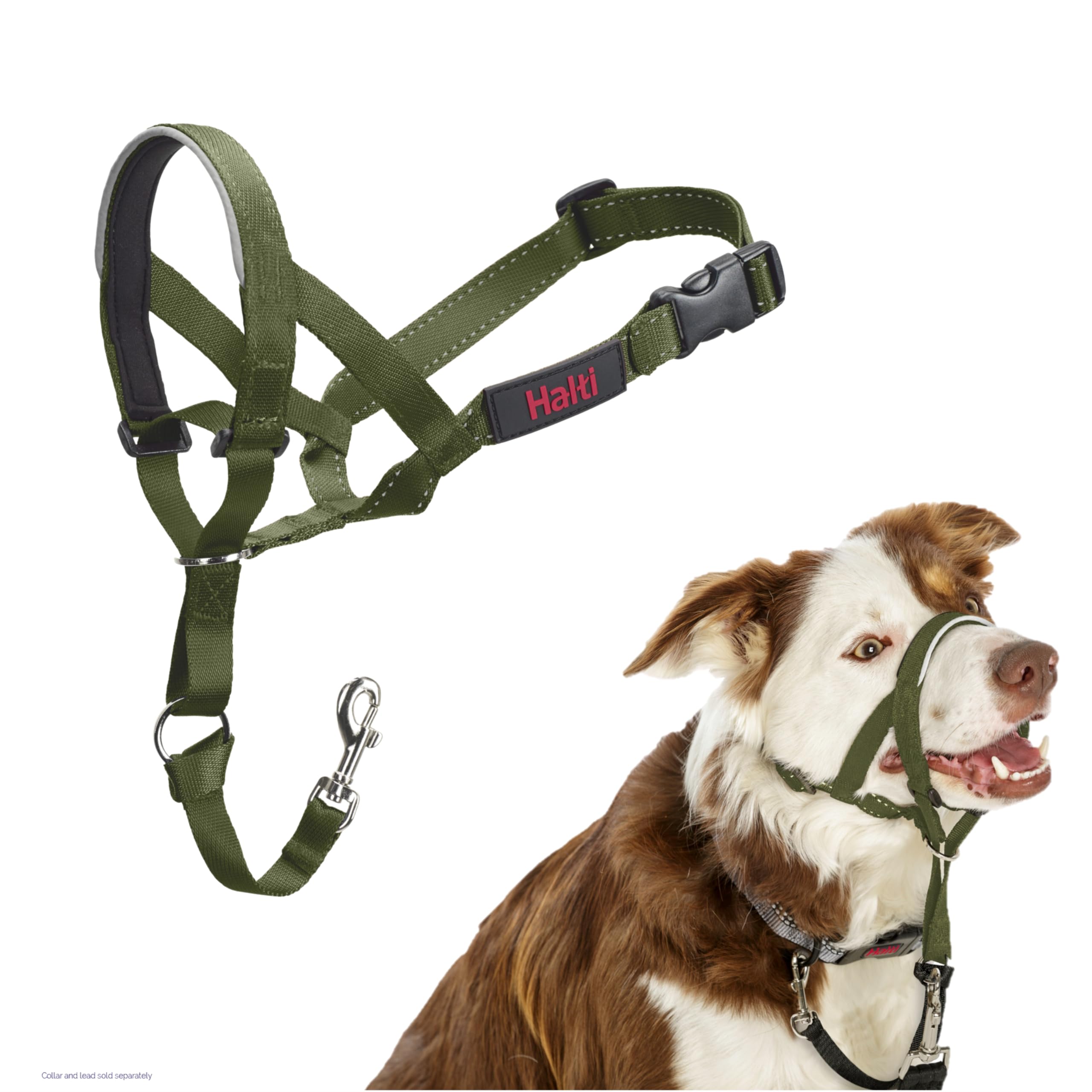 HALTI Headcollar - To Stop Your Dog Pulling on the Leash. Adjustable, Reflective and Lightweight, with Padded Nose Band. Dog Training Anti-Pull Collar for Large Dogs (Size 5, Black)