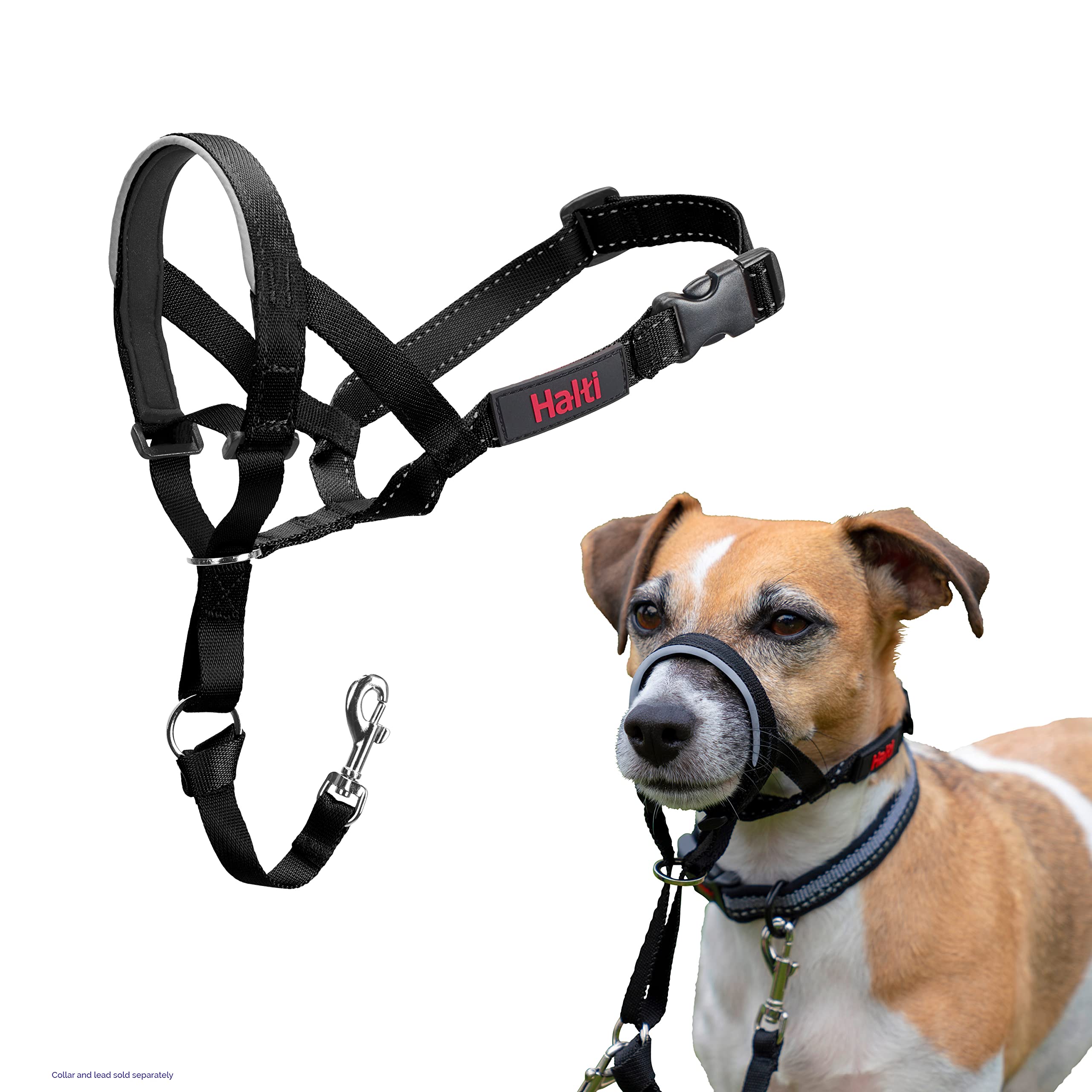 HALTI Headcollar - To Stop Your Dog Pulling on the Leash. Adjustable, Reflective and Lightweight, with Padded Nose Band. Dog Training Anti-Pull Collar for Large Dogs (Size 5, Black)