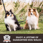 Sweetie Dog Lead Splitter – Dual Shock Absorbing Bungee Double Leash Coupler - Perfect Leads for Walking 2 Small to Medium Dogs on One Lead - No Tangle 360° Swivel Clip - Reflective Stitching