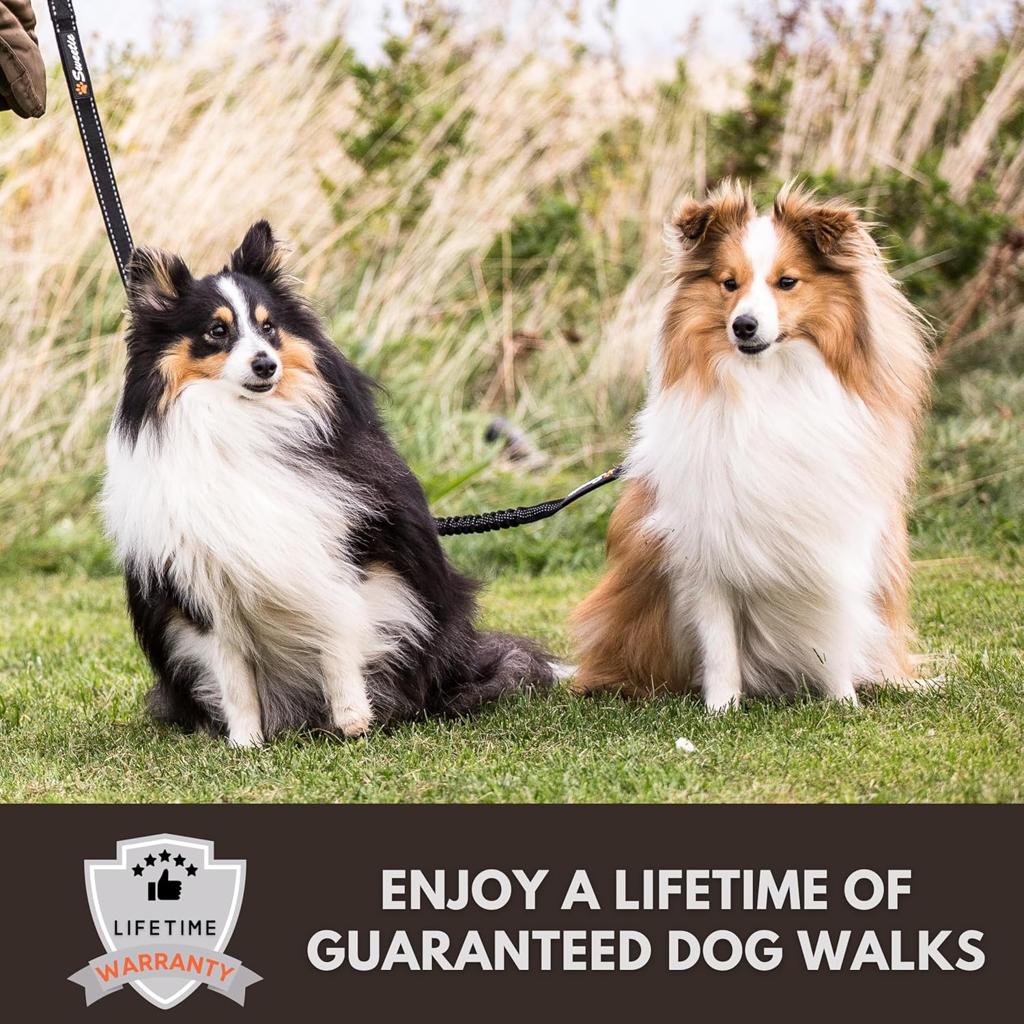 Sweetie Dog Lead Splitter – Dual Shock Absorbing Bungee Double Leash Coupler - Perfect Leads for Walking 2 Small to Medium Dogs on One Lead - No Tangle 360° Swivel Clip - Reflective Stitching