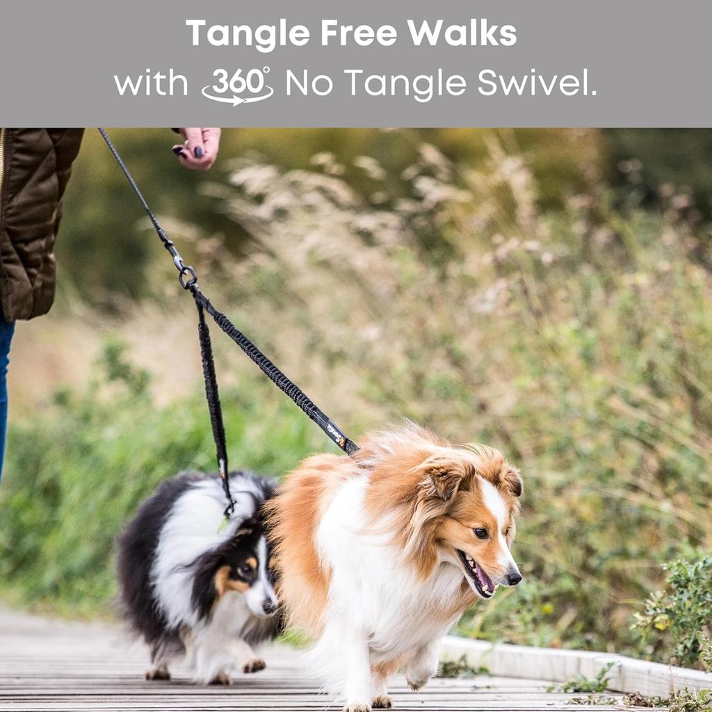 Sweetie Dog Lead Splitter – Dual Shock Absorbing Bungee Double Leash Coupler - Perfect Leads for Walking 2 Small to Medium Dogs on One Lead - No Tangle 360° Swivel Clip - Reflective Stitching