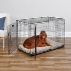 MidWest Homes for Pets Newly Enhanced Double Door iCrate 106.68 cm (42-Inch) Long Dog Crate, Includes Leak-Proof Pan, Floor Protecting Feet, Divider Panel & New Patented Features, Black, Model 1542DDU