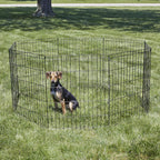 New World Folding Metal Dog Exercise Pen and Pet Playpen with No Door, Includes Grounding Stakes and Provides 1.5 Meters of Play Space, 76 cm Tall, Black E-Coated, B552-30