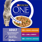 PURINA ONE Adult Cat Food Mini Fillets in Gravy 40 x 85g
