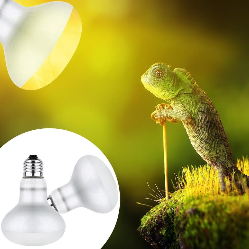 Lotvic 2 Pack 100W Reptile Heat Lamp, E27 Heat Lamp Bulb for Reptiles, Daylight Basking Spot Lamp, Tortoise Heat Lamp Bulb, Reptile Heating Bulb for Amphibian, Tortoise, Bearded Dragon (2 Pack 100W) [Energy Class A]