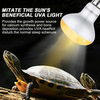 Lotvic 2 Pack 100W Reptile Heat Lamp, E27 Heat Lamp Bulb for Reptiles, Daylight Basking Spot Lamp, Tortoise Heat Lamp Bulb, Reptile Heating Bulb for Amphibian, Tortoise, Bearded Dragon (2 Pack 100W) [Energy Class A]