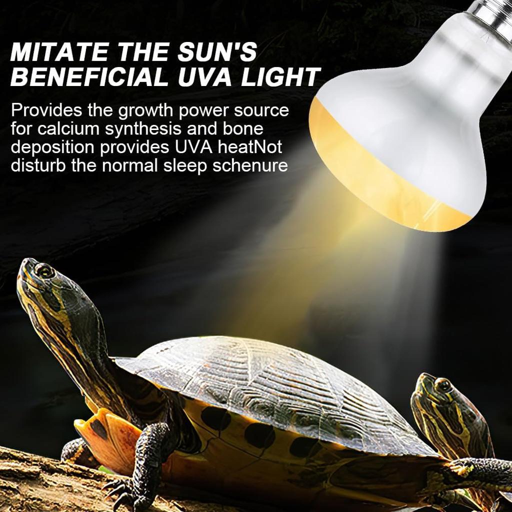 Lotvic 2 Pack 100W Reptile Heat Lamp, E27 Heat Lamp Bulb for Reptiles, Daylight Basking Spot Lamp, Tortoise Heat Lamp Bulb, Reptile Heating Bulb for Amphibian, Tortoise, Bearded Dragon (2 Pack 100W) [Energy Class A]