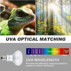 Lotvic 2 Pack 100W Reptile Heat Lamp, E27 Heat Lamp Bulb for Reptiles, Daylight Basking Spot Lamp, Tortoise Heat Lamp Bulb, Reptile Heating Bulb for Amphibian, Tortoise, Bearded Dragon (2 Pack 100W) [Energy Class A]