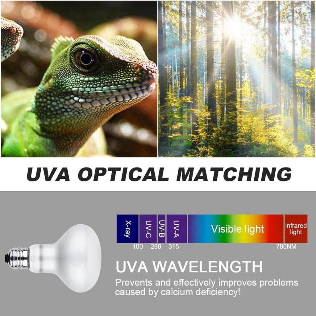 Lotvic 2 Pack 100W Reptile Heat Lamp, E27 Heat Lamp Bulb for Reptiles, Daylight Basking Spot Lamp, Tortoise Heat Lamp Bulb, Reptile Heating Bulb for Amphibian, Tortoise, Bearded Dragon (2 Pack 100W) [Energy Class A]